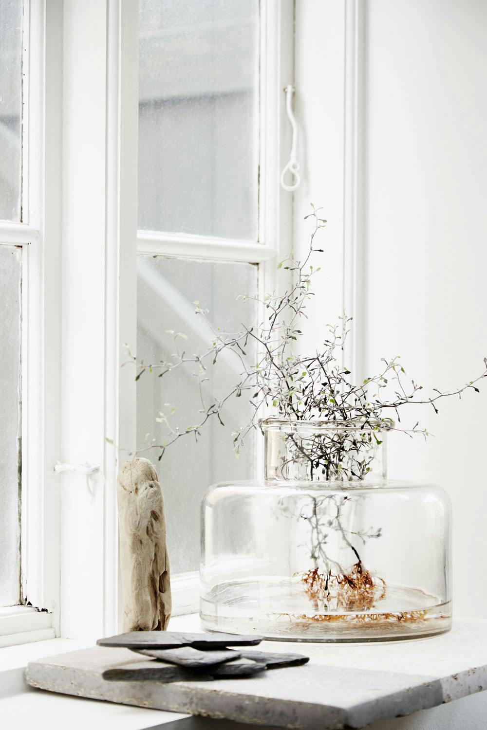 Enkel eleganse Fint stilleben med glassvase.